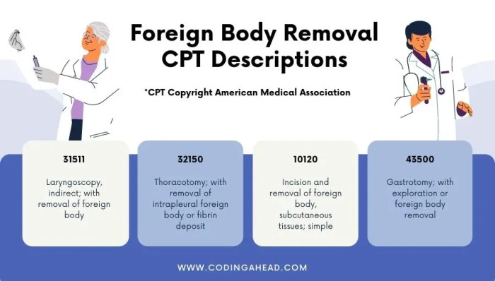 Cpt code assigned input coding procedure decoding become value does part big aagl