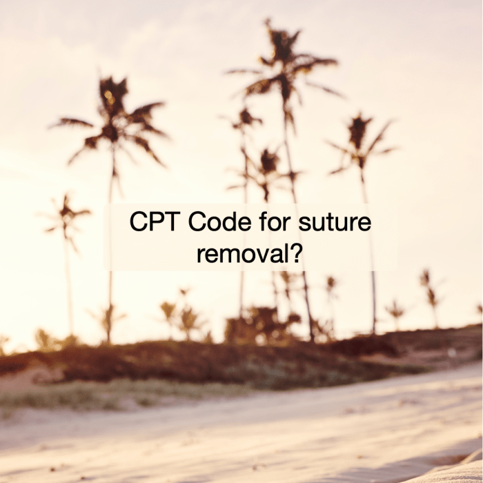 Cpt code for removal of cast