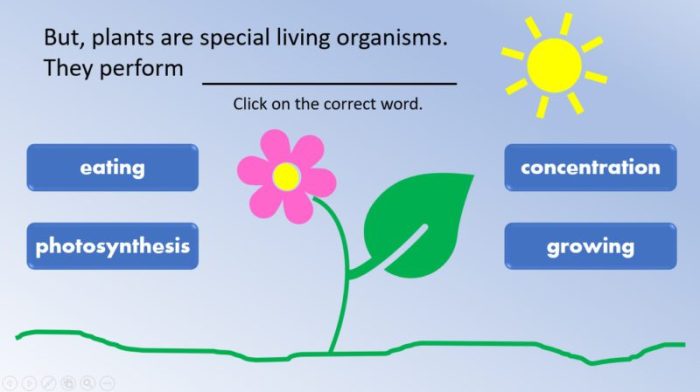 Virtual science teachers photosynthesis interactive