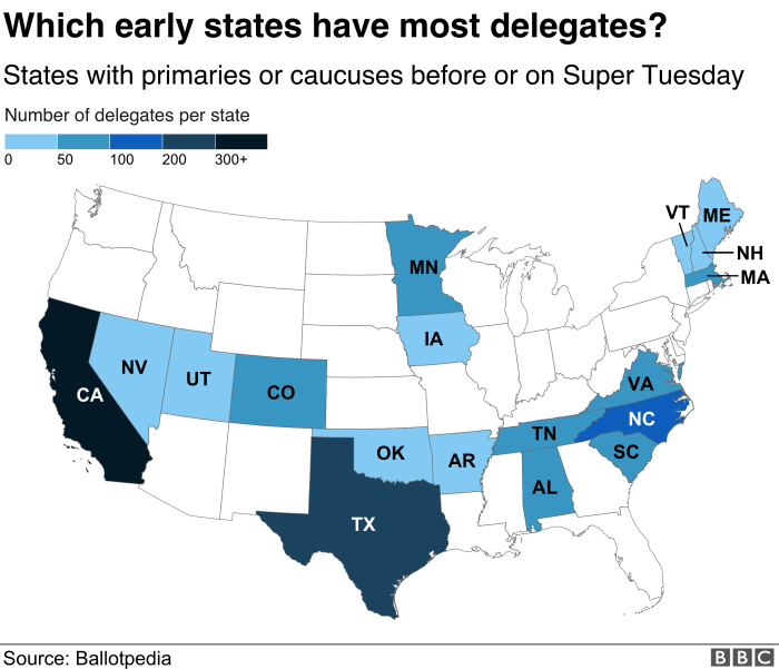 What disadvantages do primaries and caucuses offer to voters