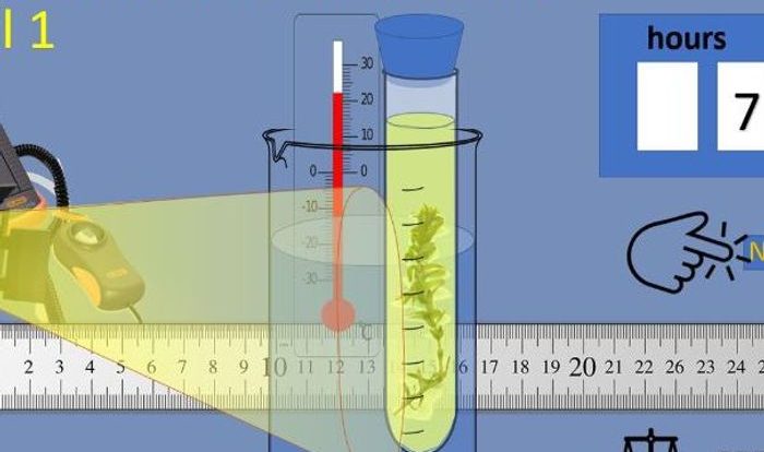 Virtual science teachers photosynthesis interactive