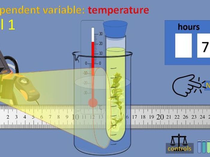 Virtual science teachers photosynthesis interactive