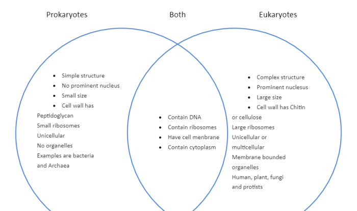 Venn diagram of prokaryotes and eukaryotes