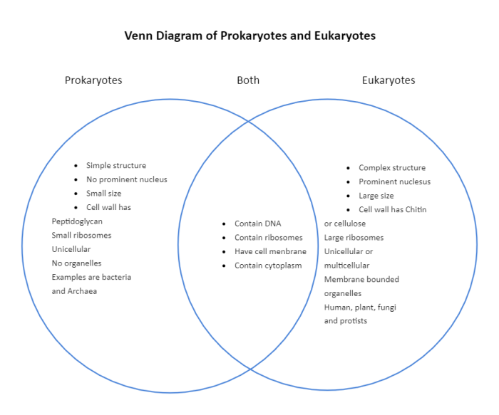 Venn diagram of prokaryotes and eukaryotes