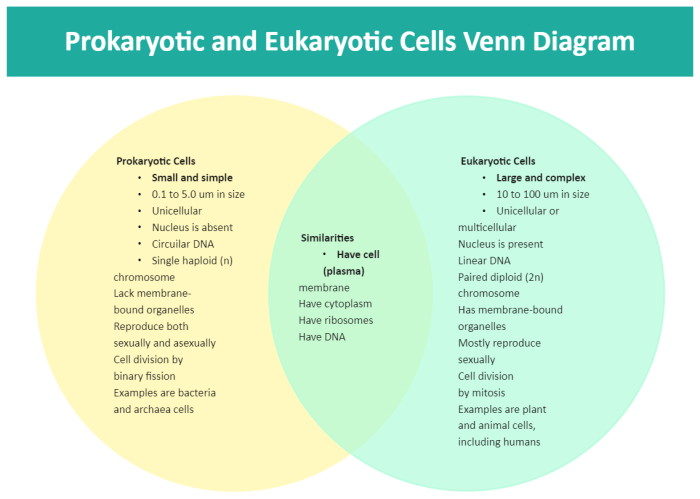 Venn diagram of prokaryotes and eukaryotes